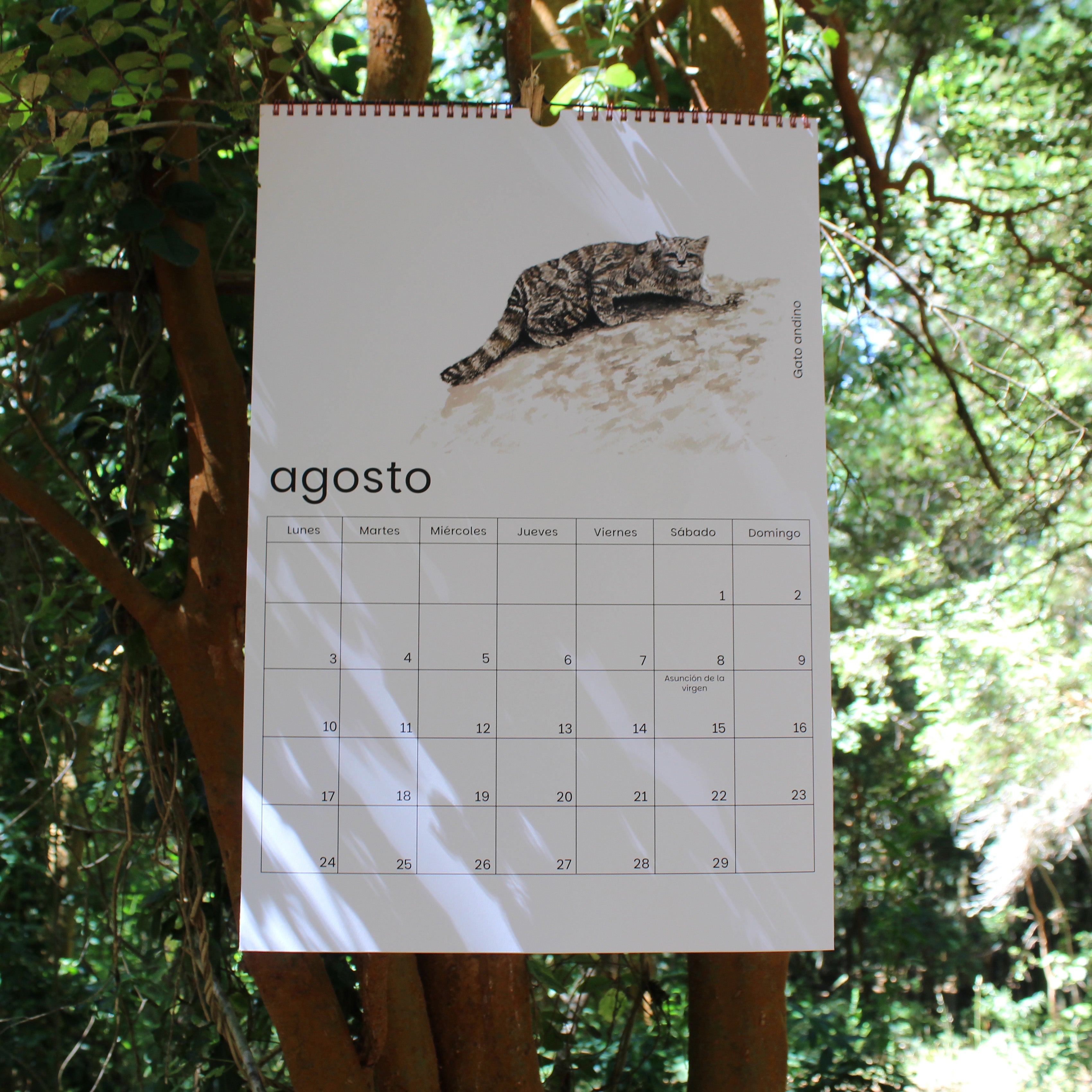 Calendario de Muro Fauna chilena