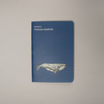 planner ballena franca austral ilustración fauna chilena