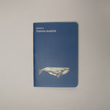 planner ballena franca austral ilustración fauna chilena