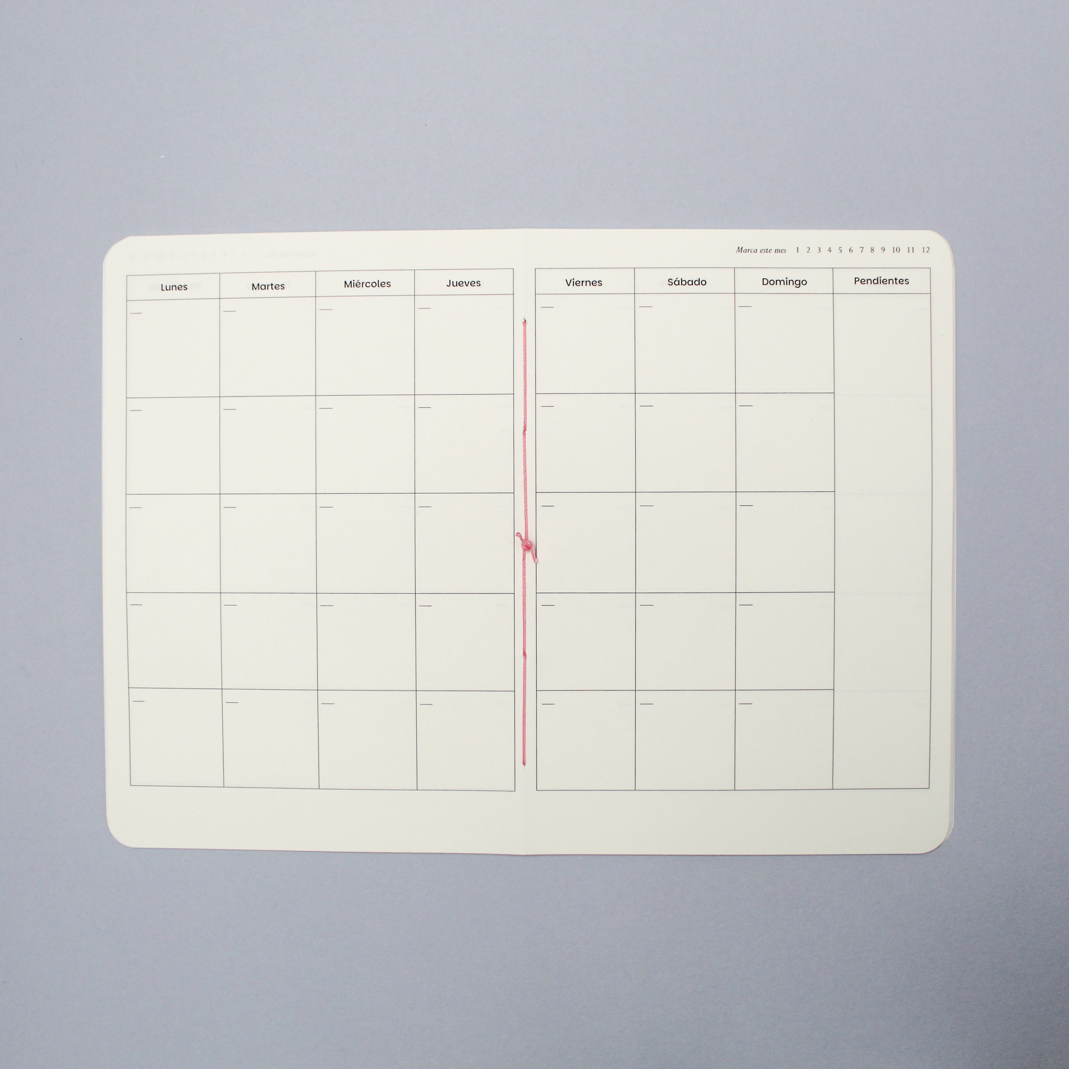 Planner mensual sin fecha 13 meses