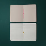 Set Libretas de Bolsillo