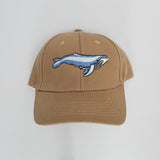 Jockey Adulto Café Claro