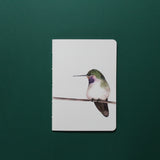 Planner Picaflor de Arica
