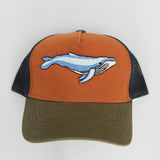 Jockey Niño/a Tricolor