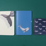 Set de papelería Cetáceos Marinos de Chile con planner y libretas ilustradas con ballena azul y ballena jorobada