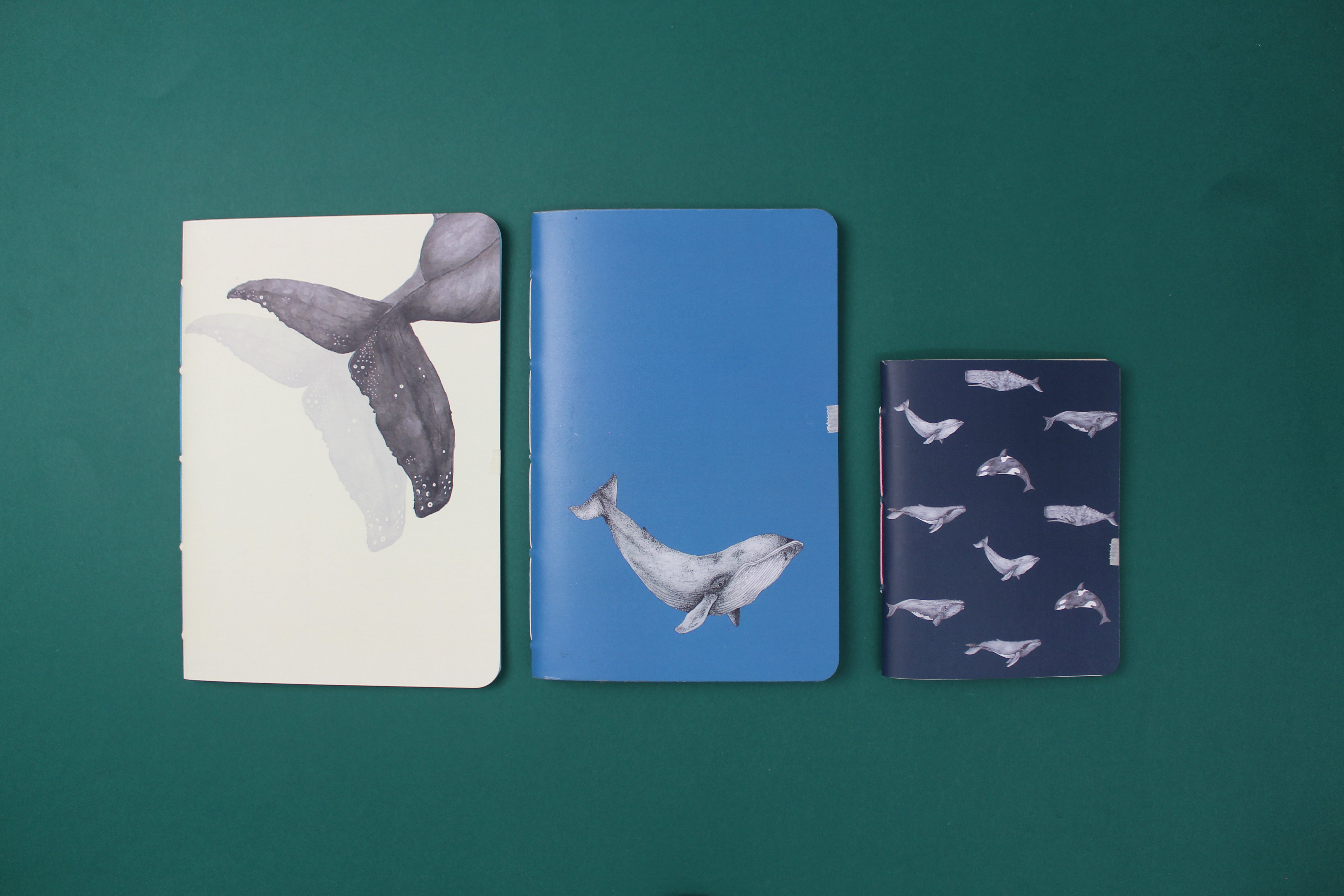 Set de papelería Cetáceos Marinos de Chile con planner y libretas ilustradas con ballena azul y ballena jorobada