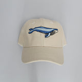 Jockey Niño/a Crema