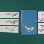 Set de papelería Cetáceos Marinos de Chile con planner y libretas ilustradas con ballena azul y ballena jorobada