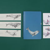 Set de papelería Cetáceos Marinos de Chile con planner y libretas ilustradas con ballena azul y ballena jorobada