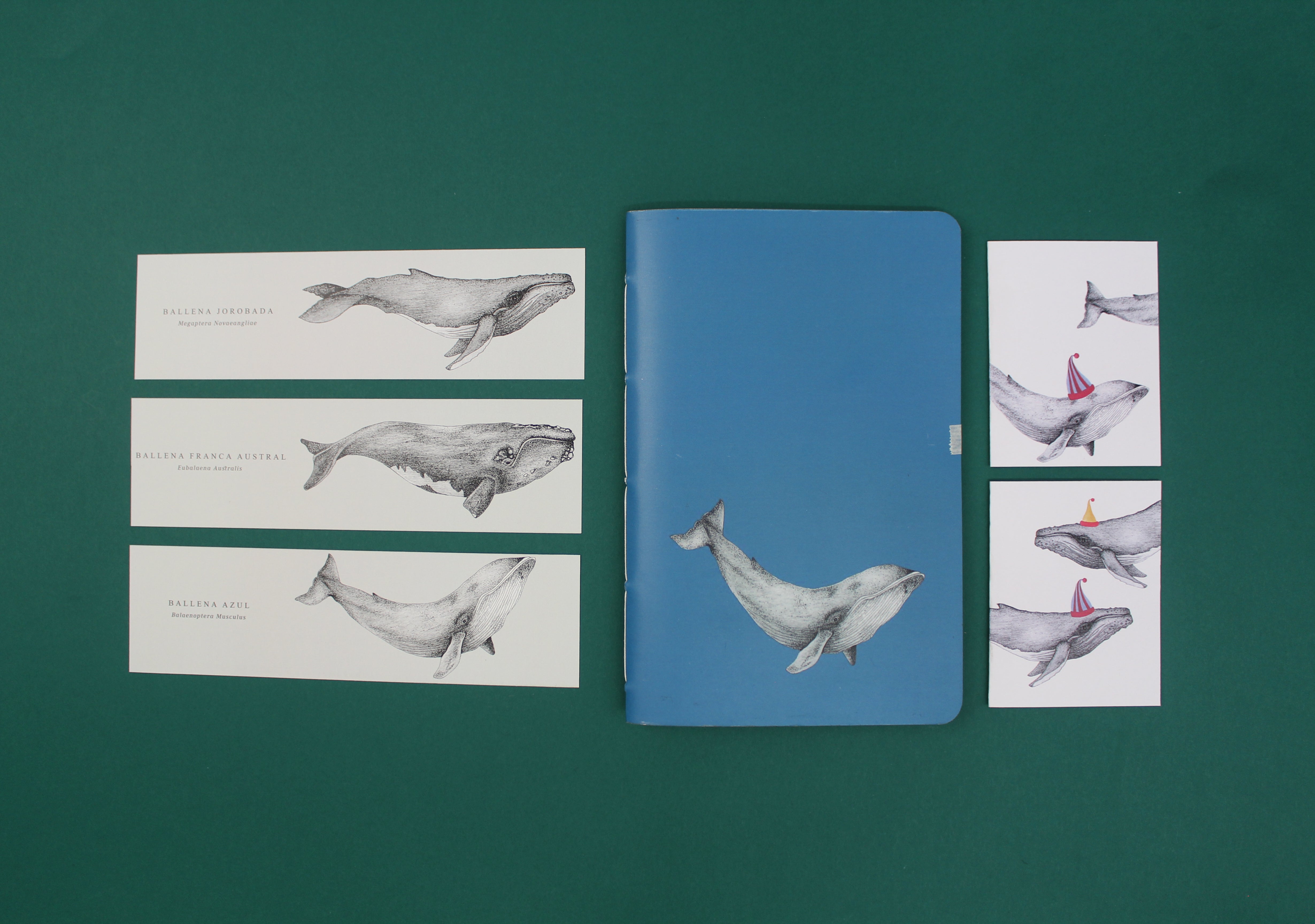 Set de papelería Cetáceos Marinos de Chile con planner y libretas ilustradas con ballena azul y ballena jorobada