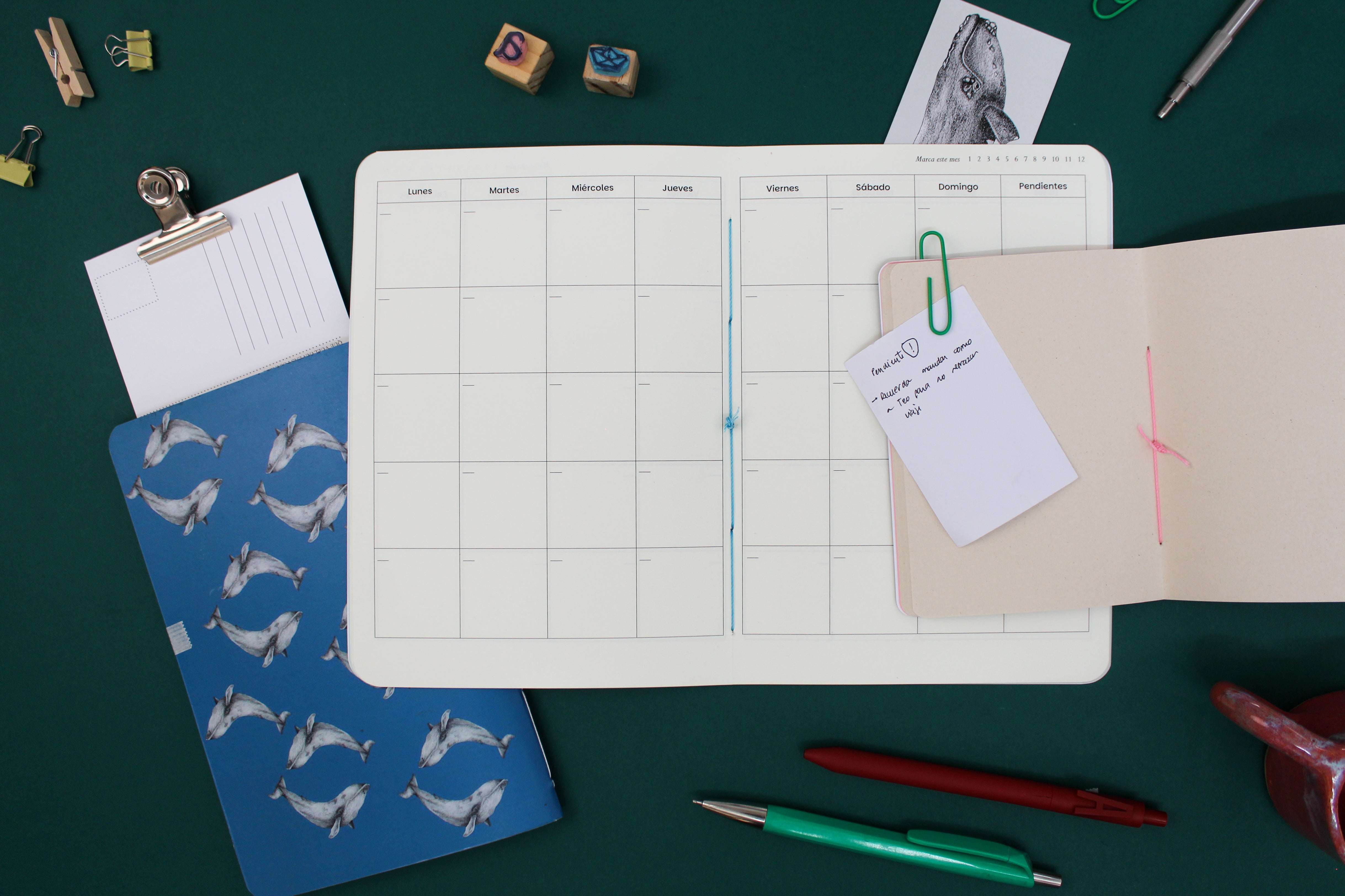 Set de papelería Cetáceos Marinos de Chile con planner y libretas ilustradas con ballena azul y ballena jorobada