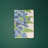 Libreta Puya Alpestris