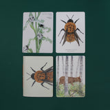 Set Papelería Polinizadores de Chile