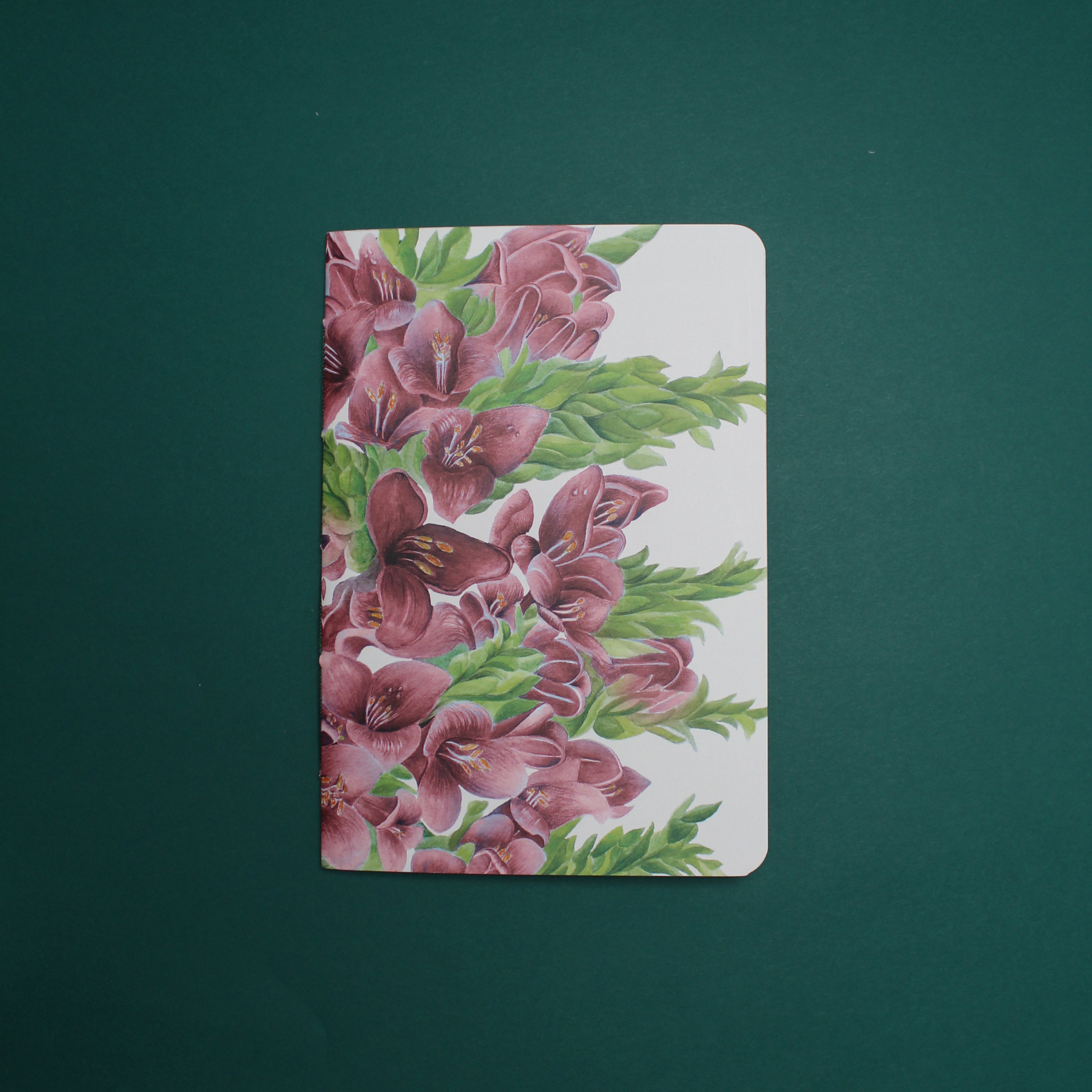 Planner Puya Alpestris