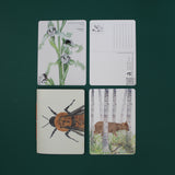 Set Papelería Polinizadores de Chile