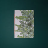 Planner Puya Alpestris