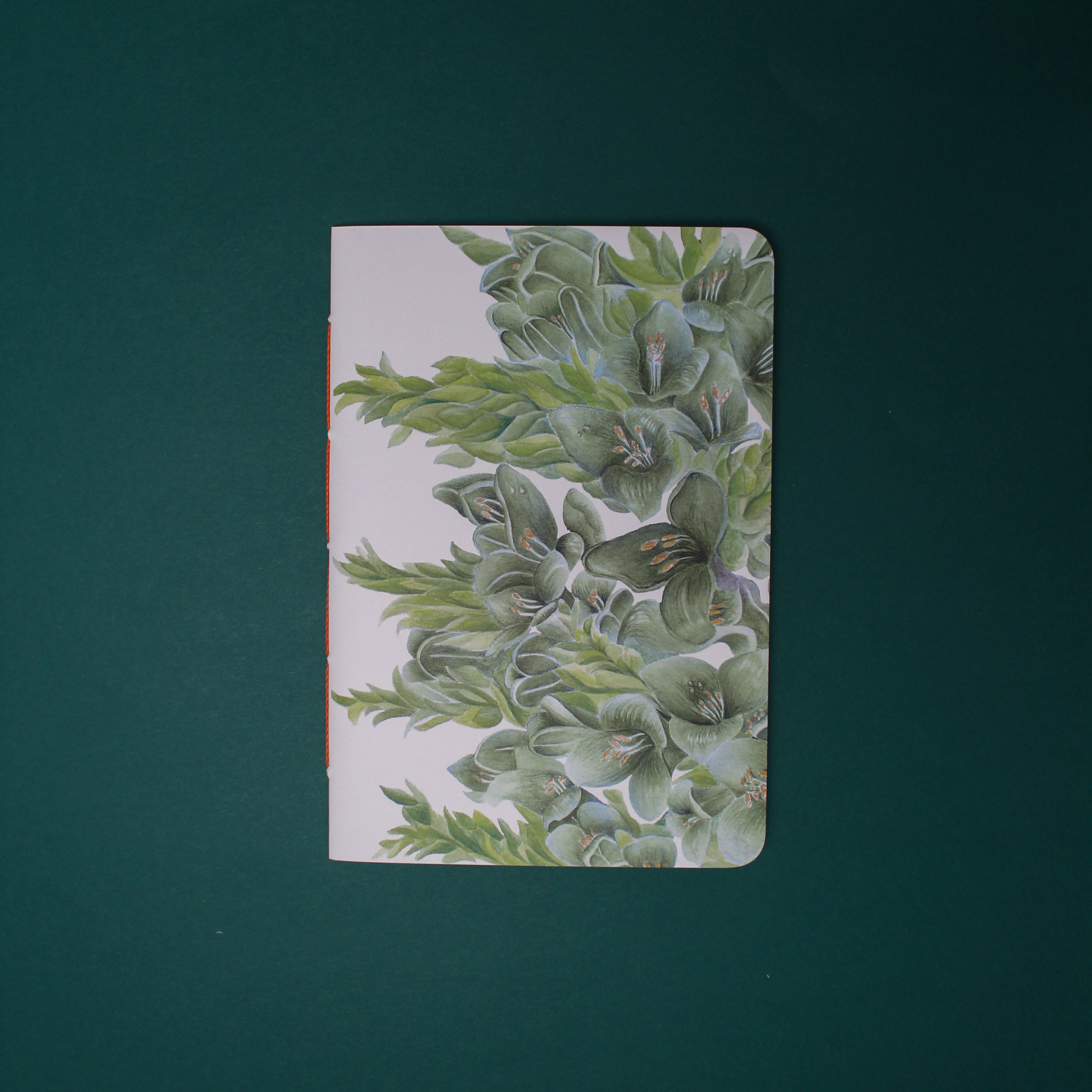 Planner Puya Alpestris