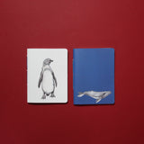 Set Planner Semanal Pinguino