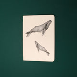 Libreta Ballena Jorobada Madre e Hija