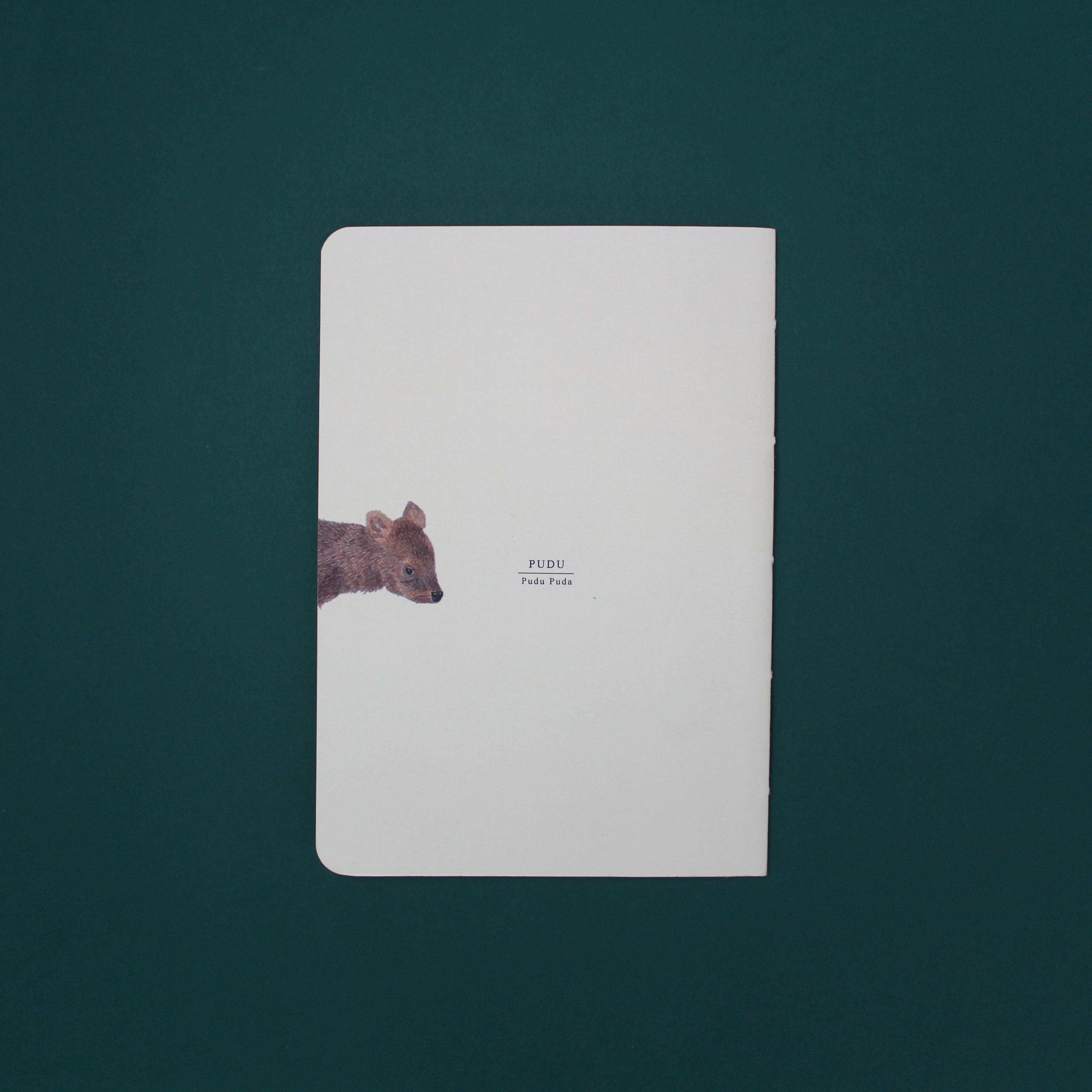 planner mensual 13 meses diseño interior papelería artesanal