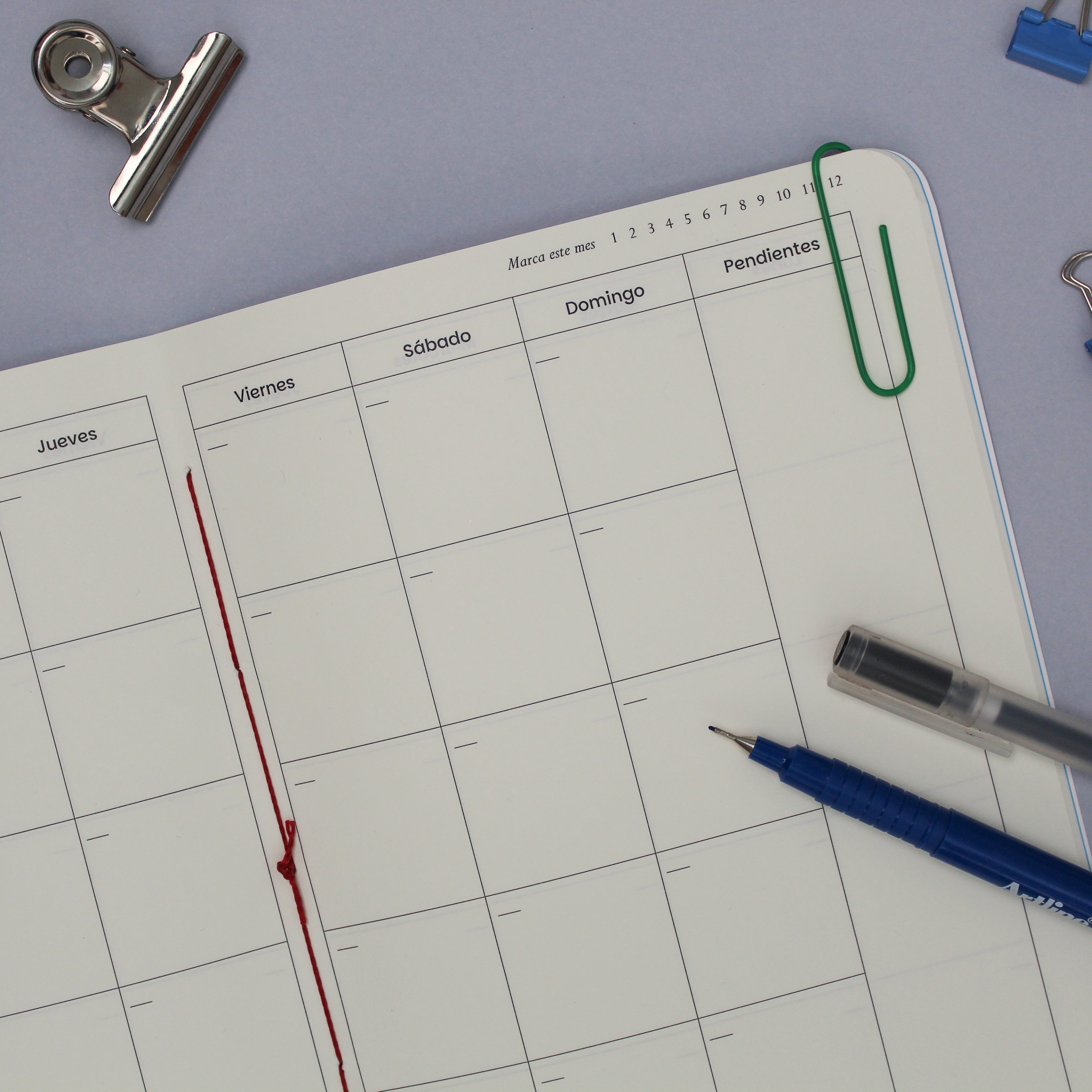 Planner Ballena Azul con ilustración de cetáceo marino presente en las costas de Chile