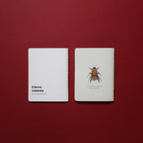 Set planner semanal Escarabajo