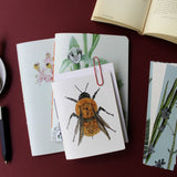 Set Papelería Polinizadores de Chile