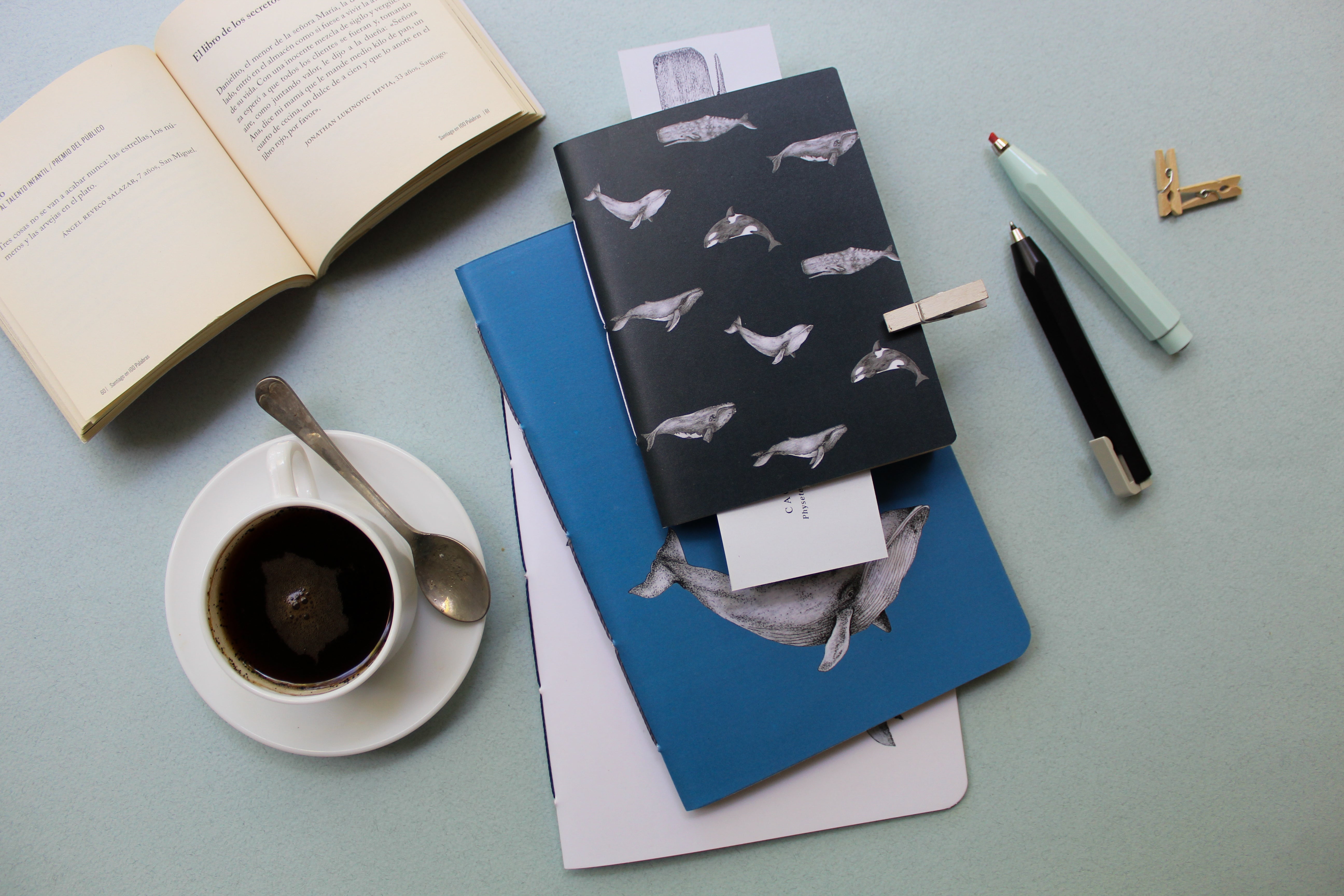 Set de papelería Cetáceos Marinos de Chile con planner y libretas ilustradas con ballena azul y ballena jorobada