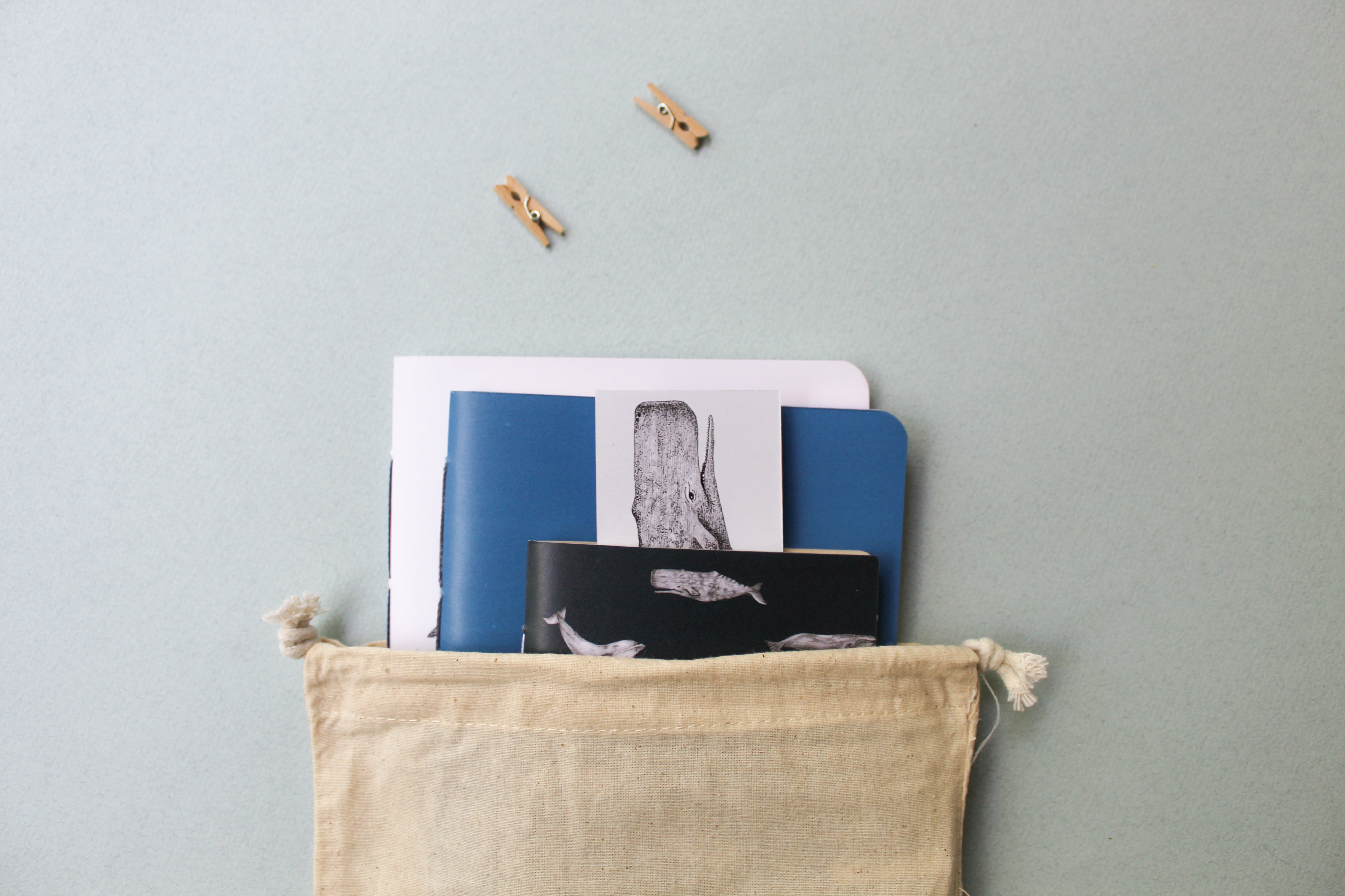 Set de papelería Cetáceos Marinos de Chile con planner y libretas ilustradas con ballena azul y ballena jorobada