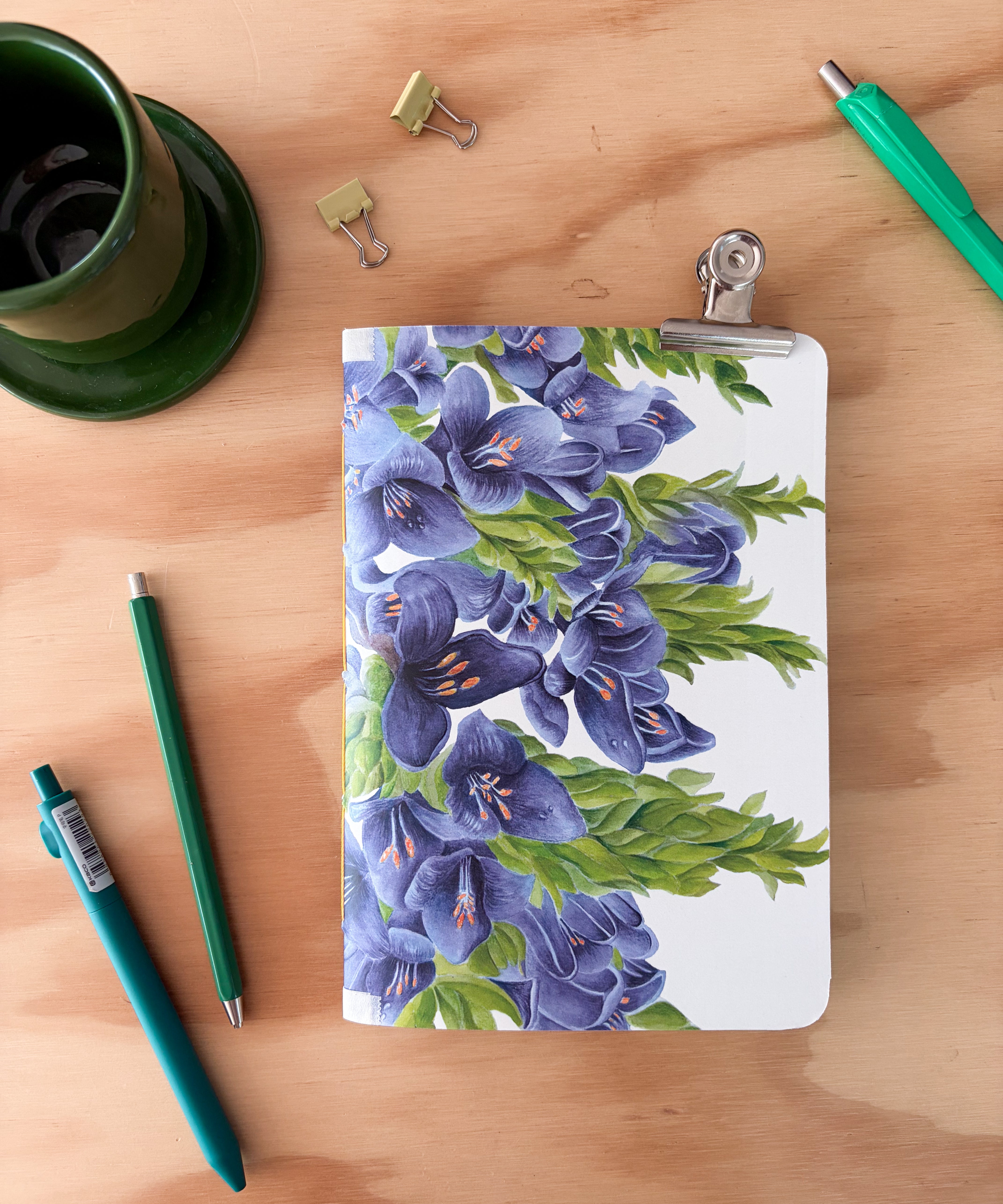 Planner Puya Alpestris