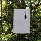 Calendario de Muro Fauna chilena