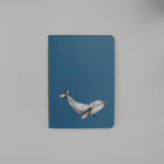 Planner Ballena Azul con ilustración de cetáceo marino presente en las costas de Chile