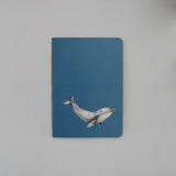 Planner Ballena Azul con ilustración de cetáceo marino presente en las costas de Chile