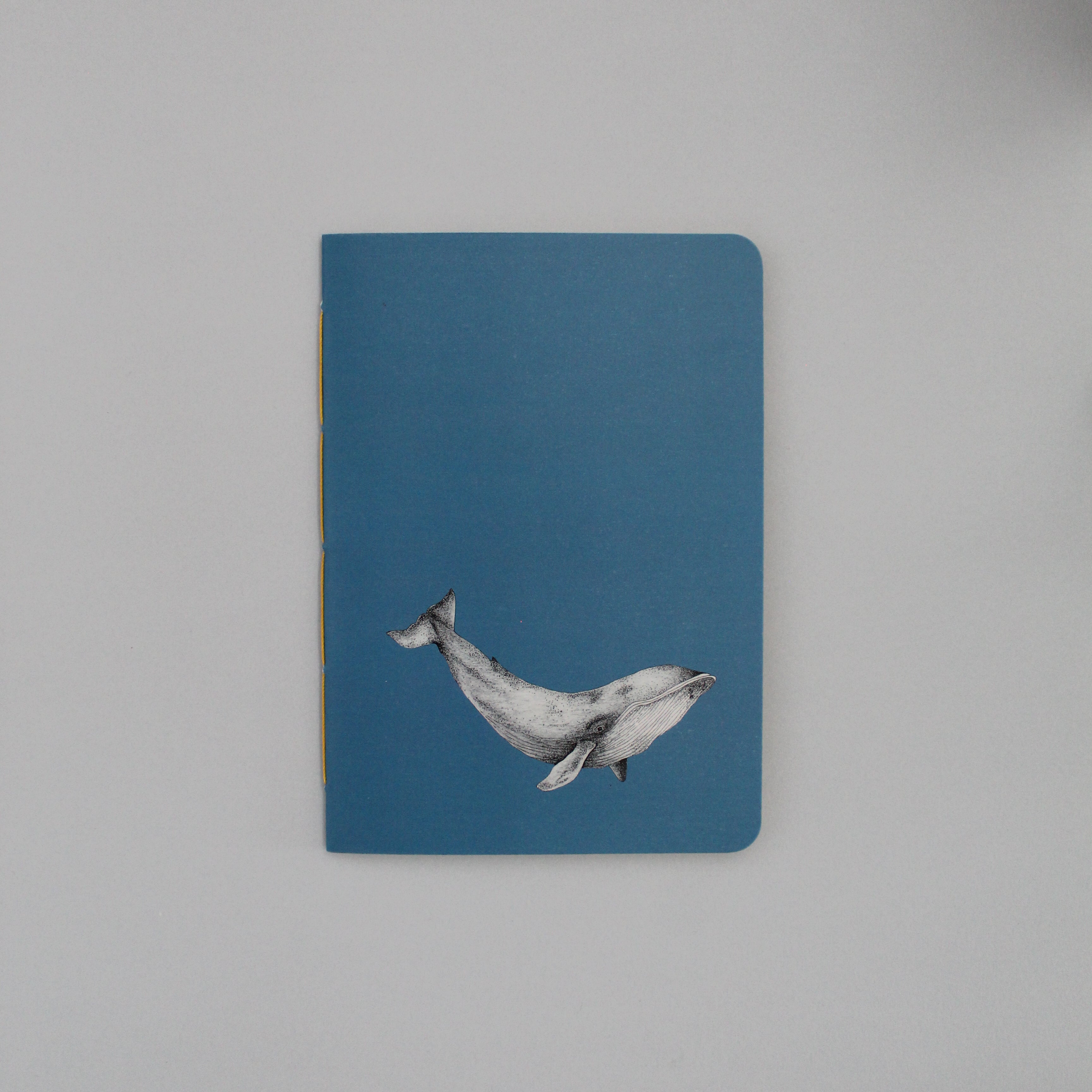 Planner Ballena Azul con ilustración de cetáceo marino presente en las costas de Chile