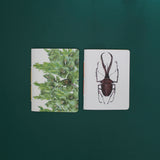 Set Libretas de Bolsillo